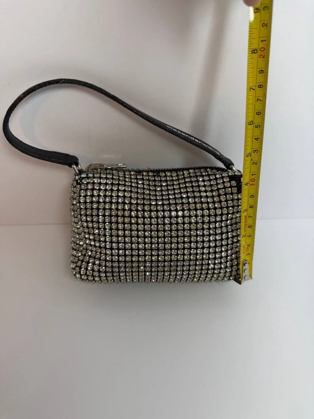 Alexander Wang Heiress Pouch Shimmer Evening Bag